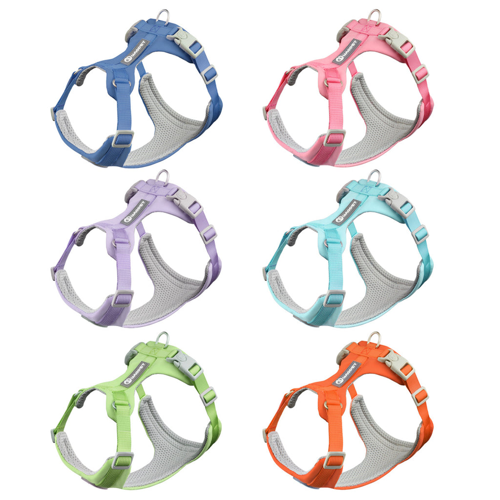 Strut & Shine Harness
