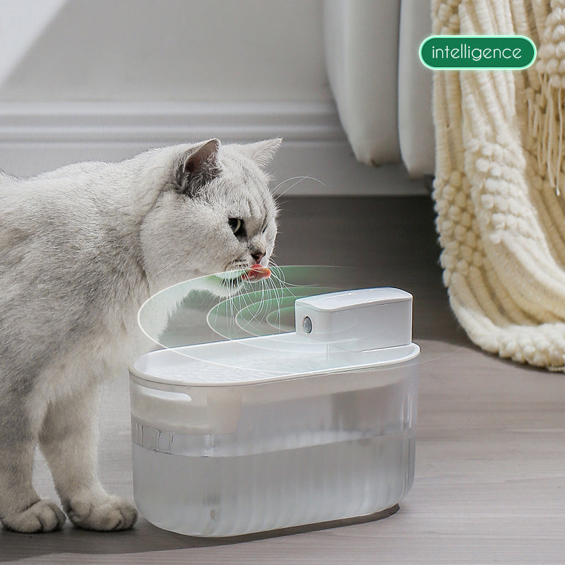 The Pet Spring