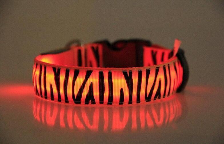 Night Safari Collar