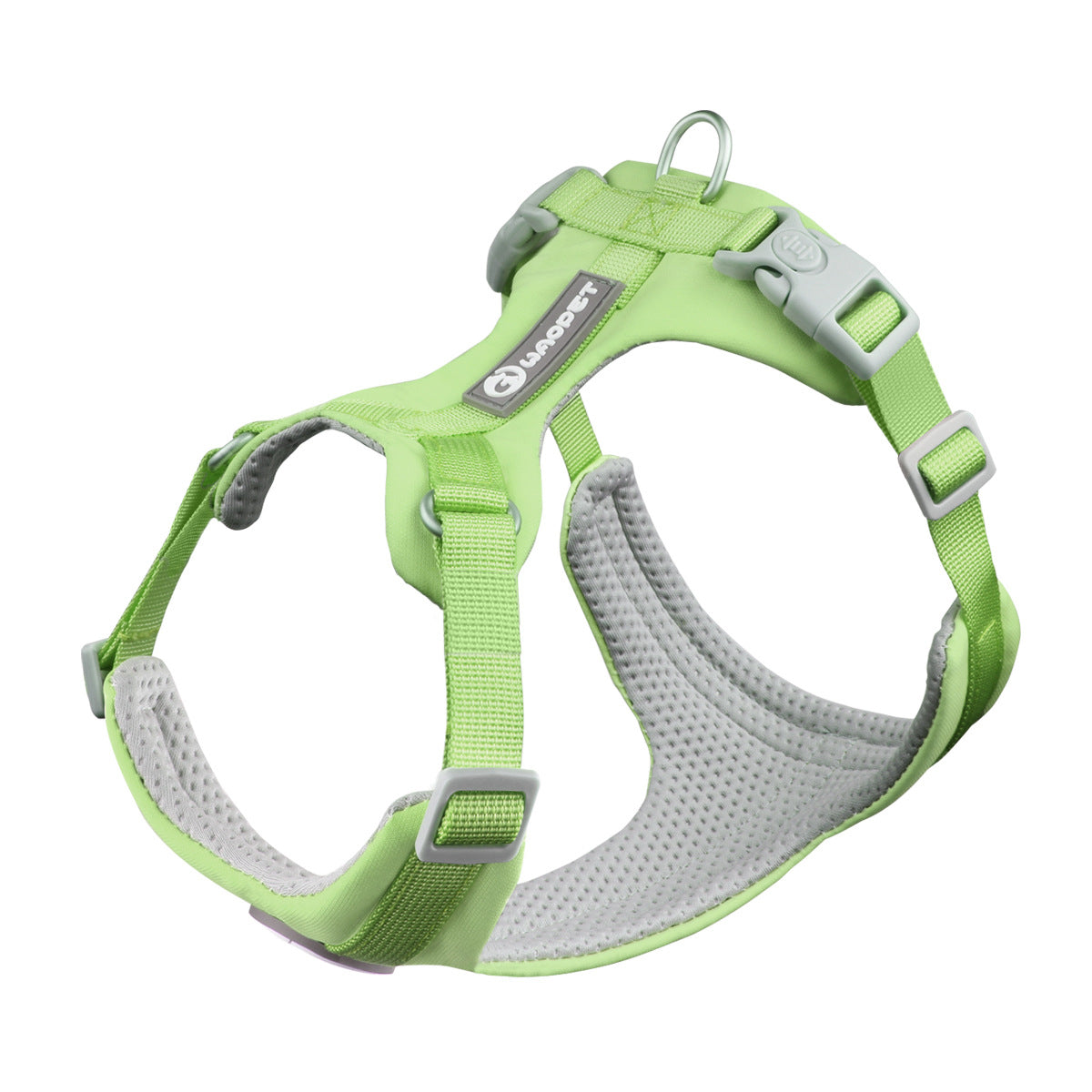 Strut & Shine Harness