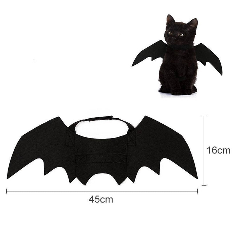 Bat Cat Rises.