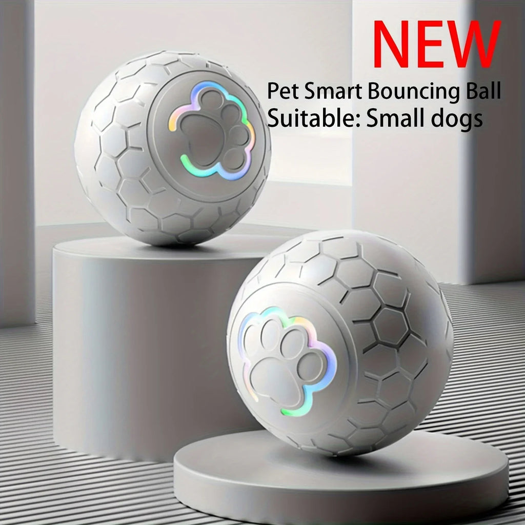 Your Dog's New Best Friend. (Sorry.)