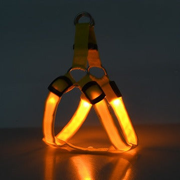The Beacon