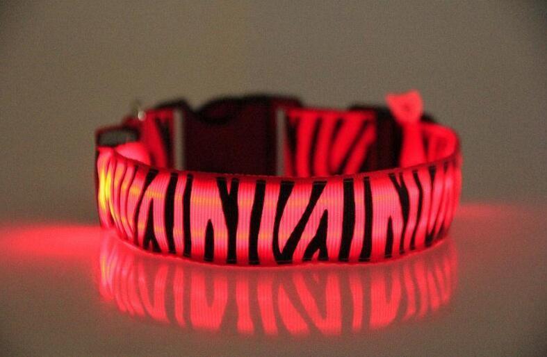 Night Safari Collar