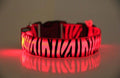 Night Safari Collar