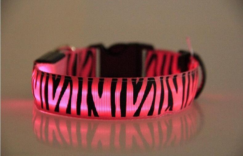 Night Safari Collar
