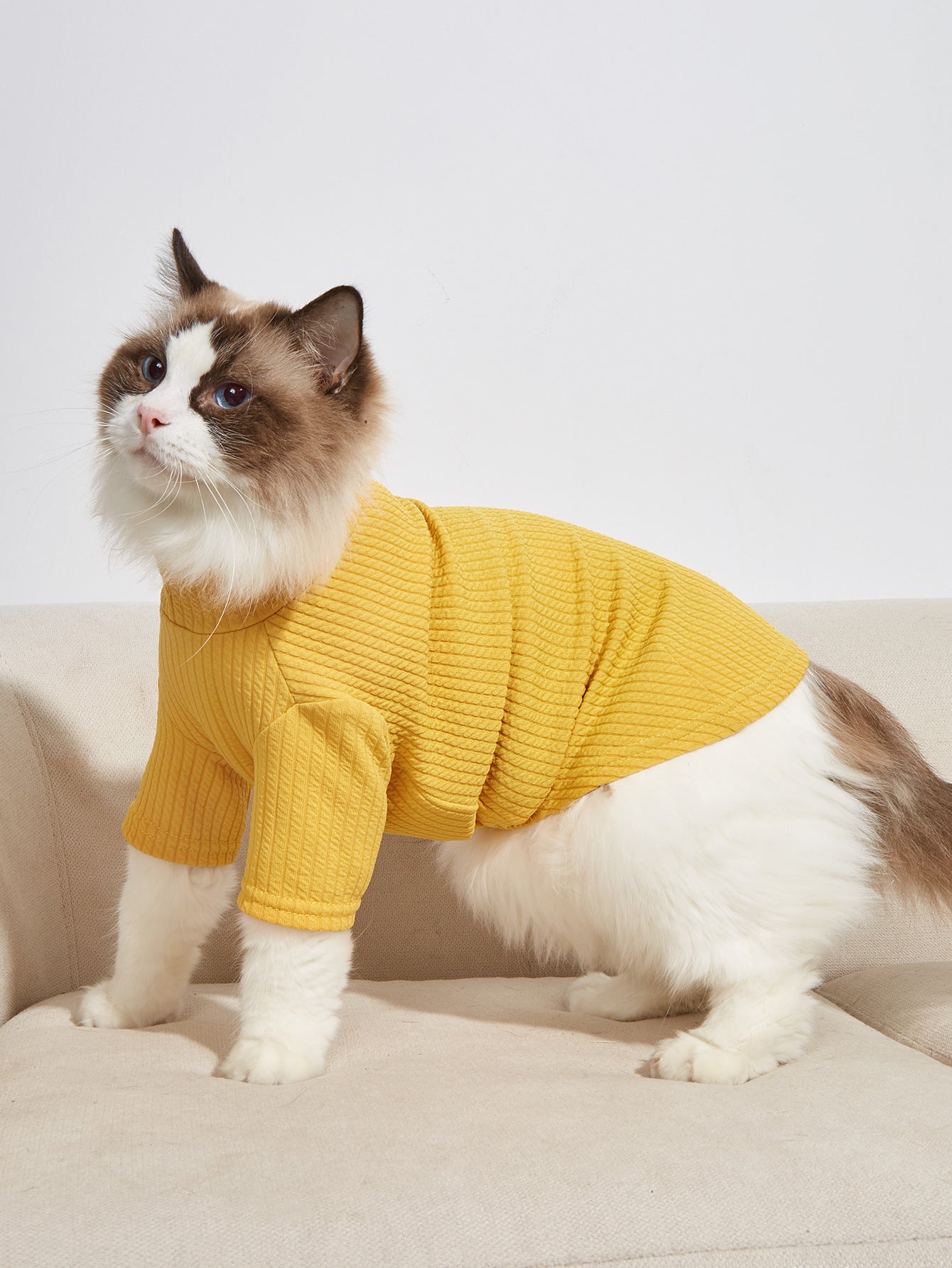 Simply Catwalk