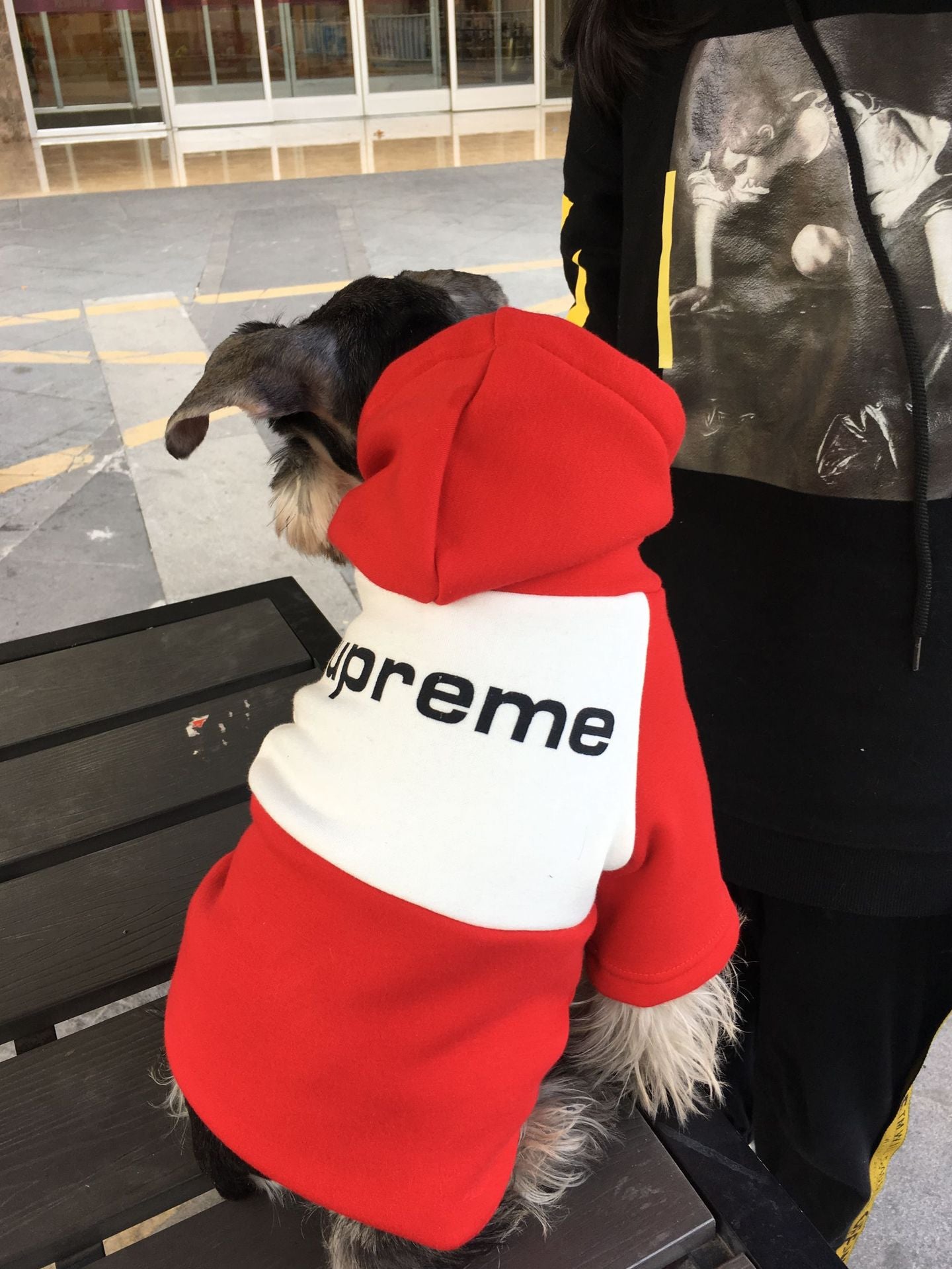 Swagged Out Pet Hoodie
