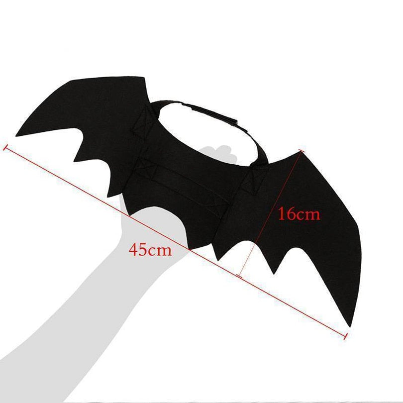 Bat Cat Rises.