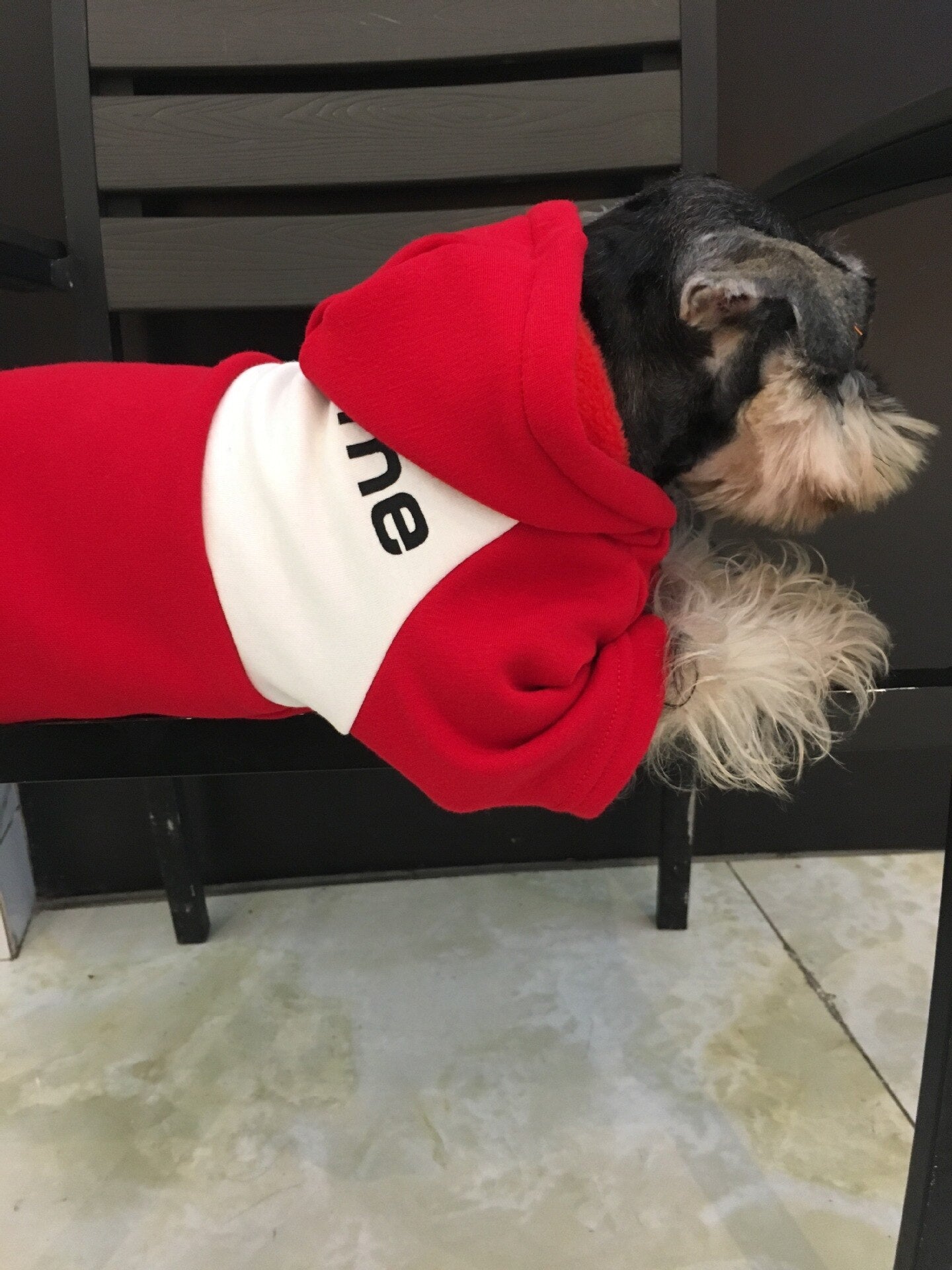 Swagged Out Pet Hoodie