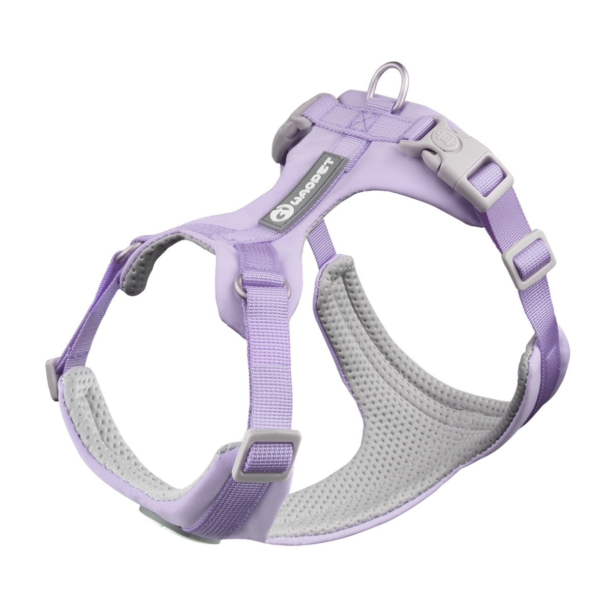 Strut & Shine Harness