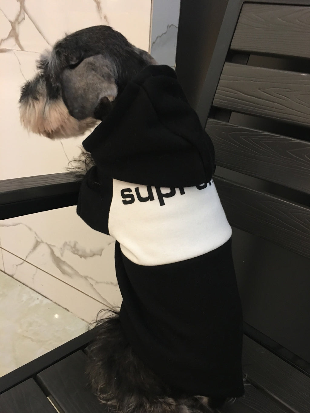 Swagged Out Pet Hoodie