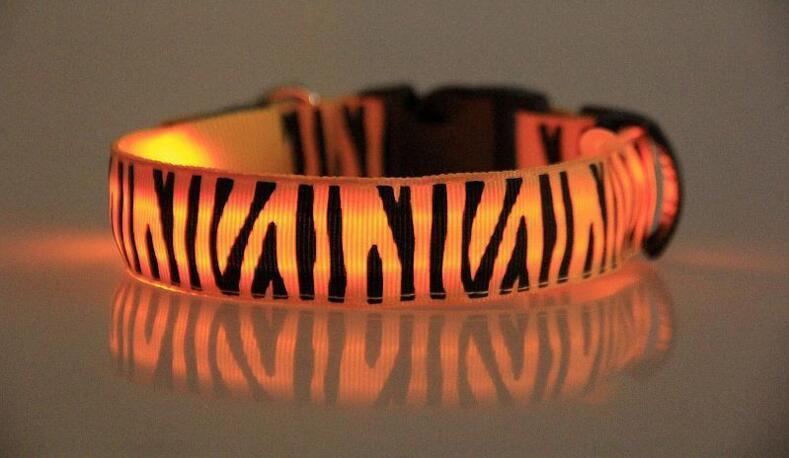 Night Safari Collar