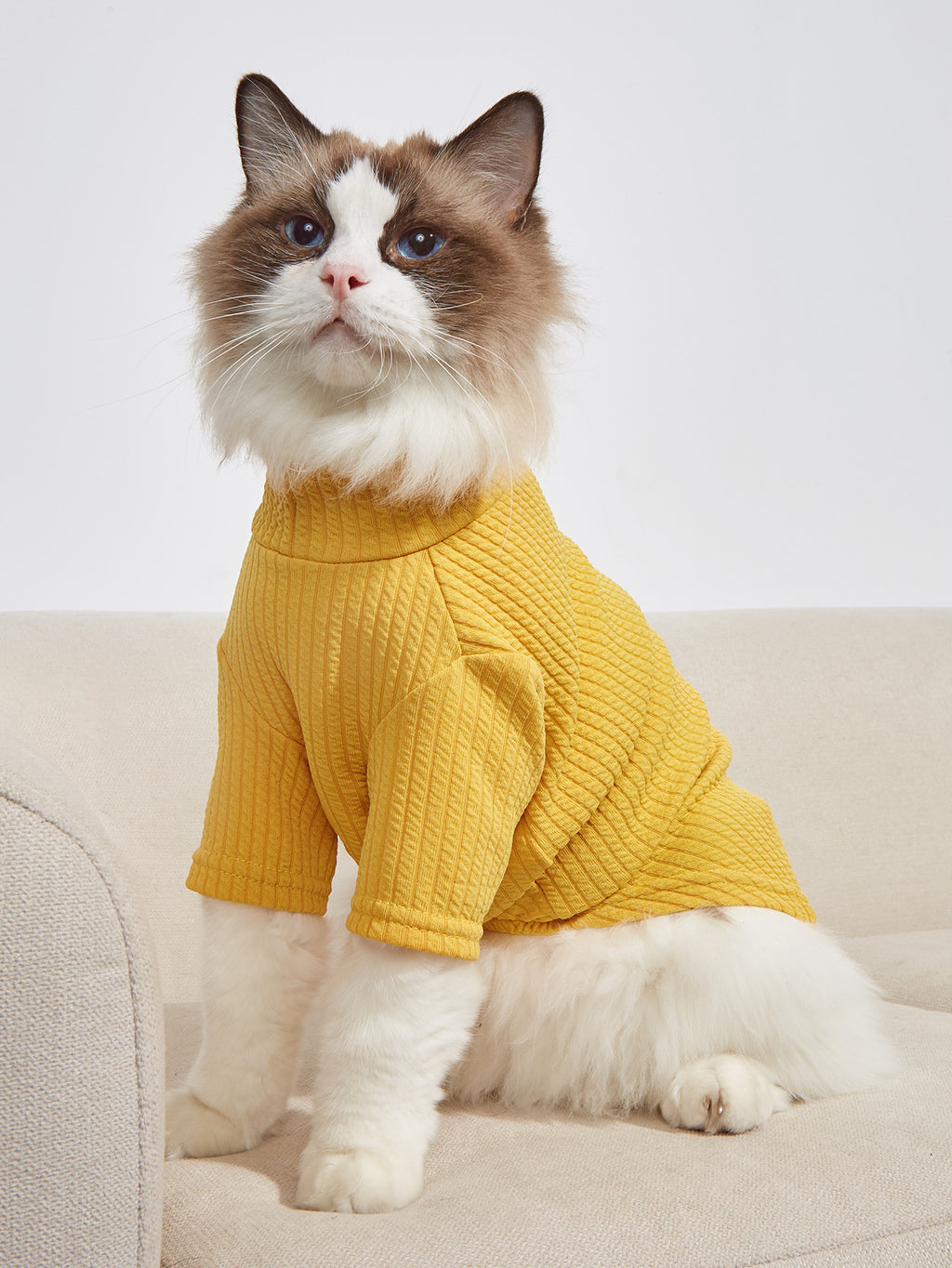 Simply Catwalk