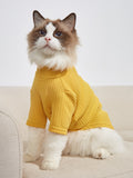 Simply Catwalk