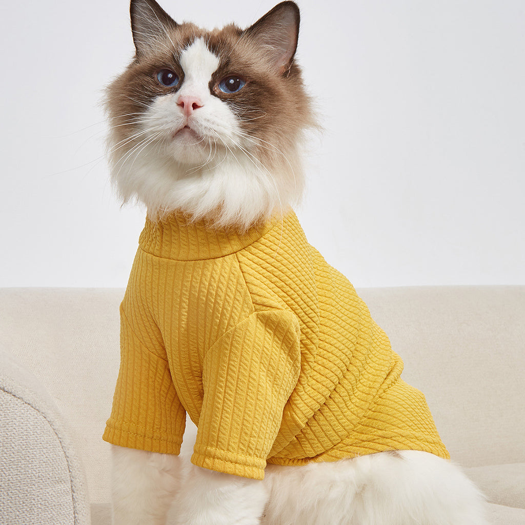Simply Catwalk