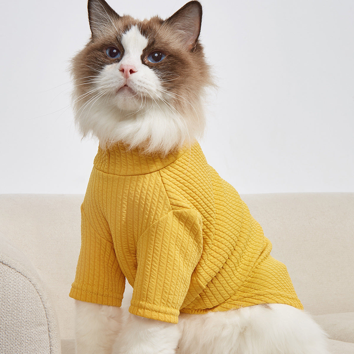 Simply Catwalk
