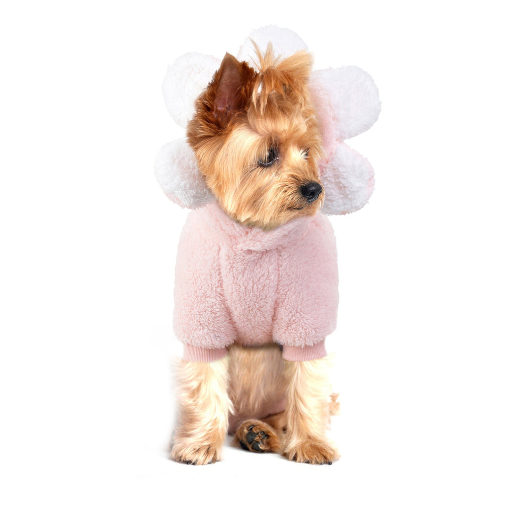 Wag in Bloom Sweater
