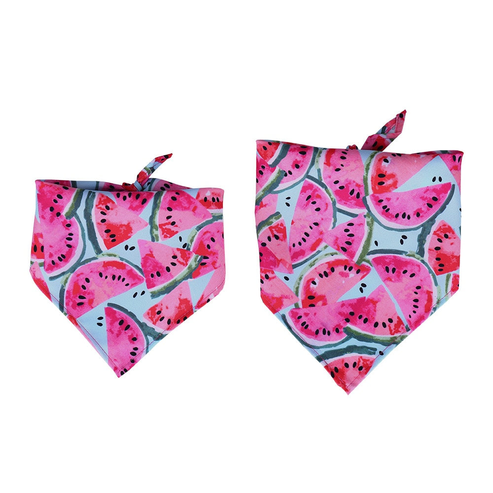 Tie & Shine Pet Bandana