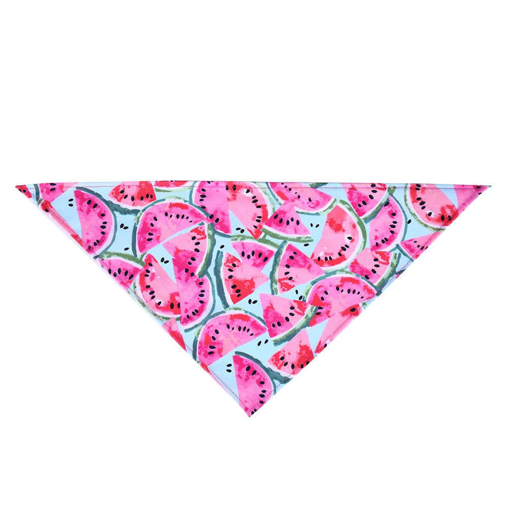 Tie & Shine Pet Bandana