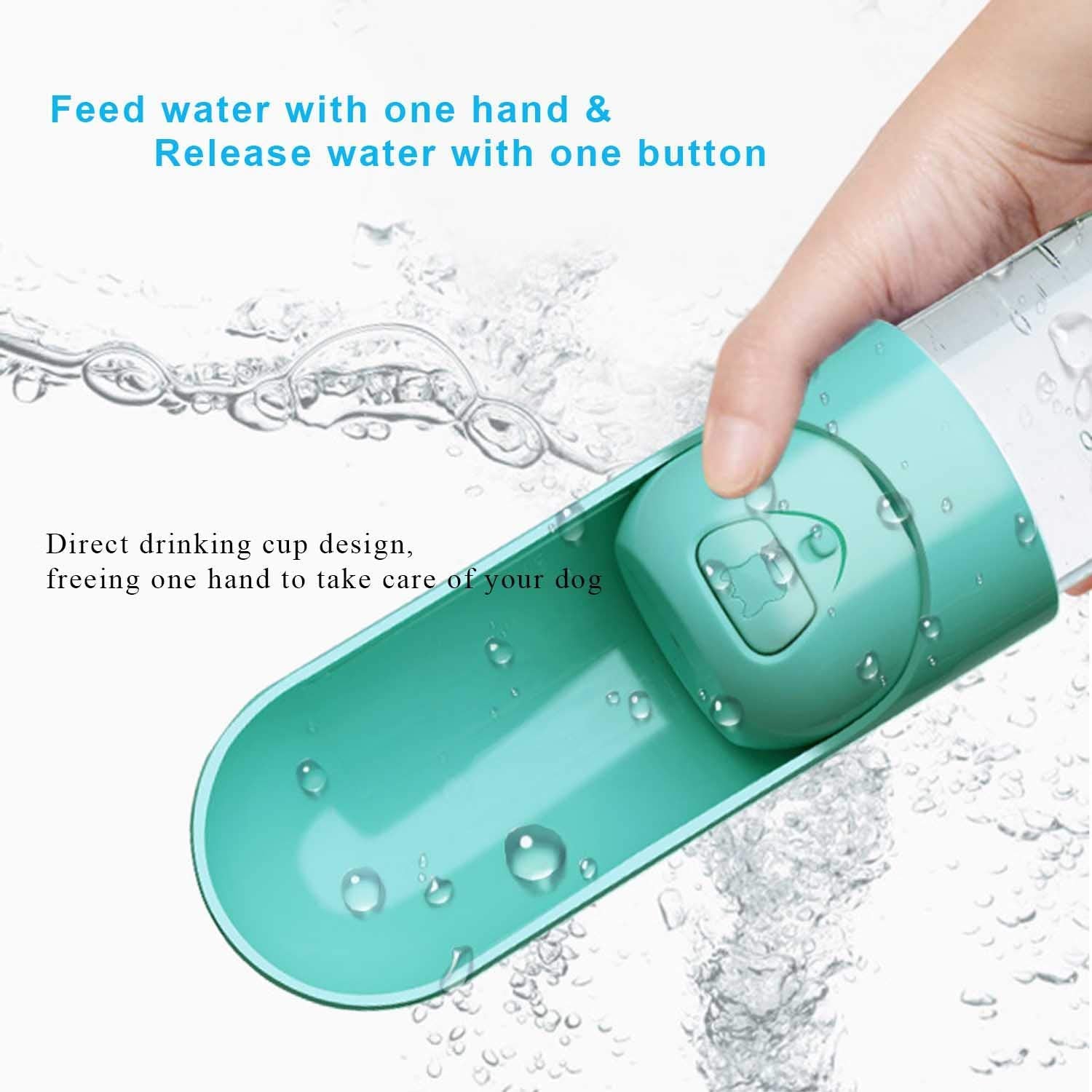 The Pet Flask