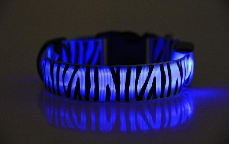 Night Safari Collar