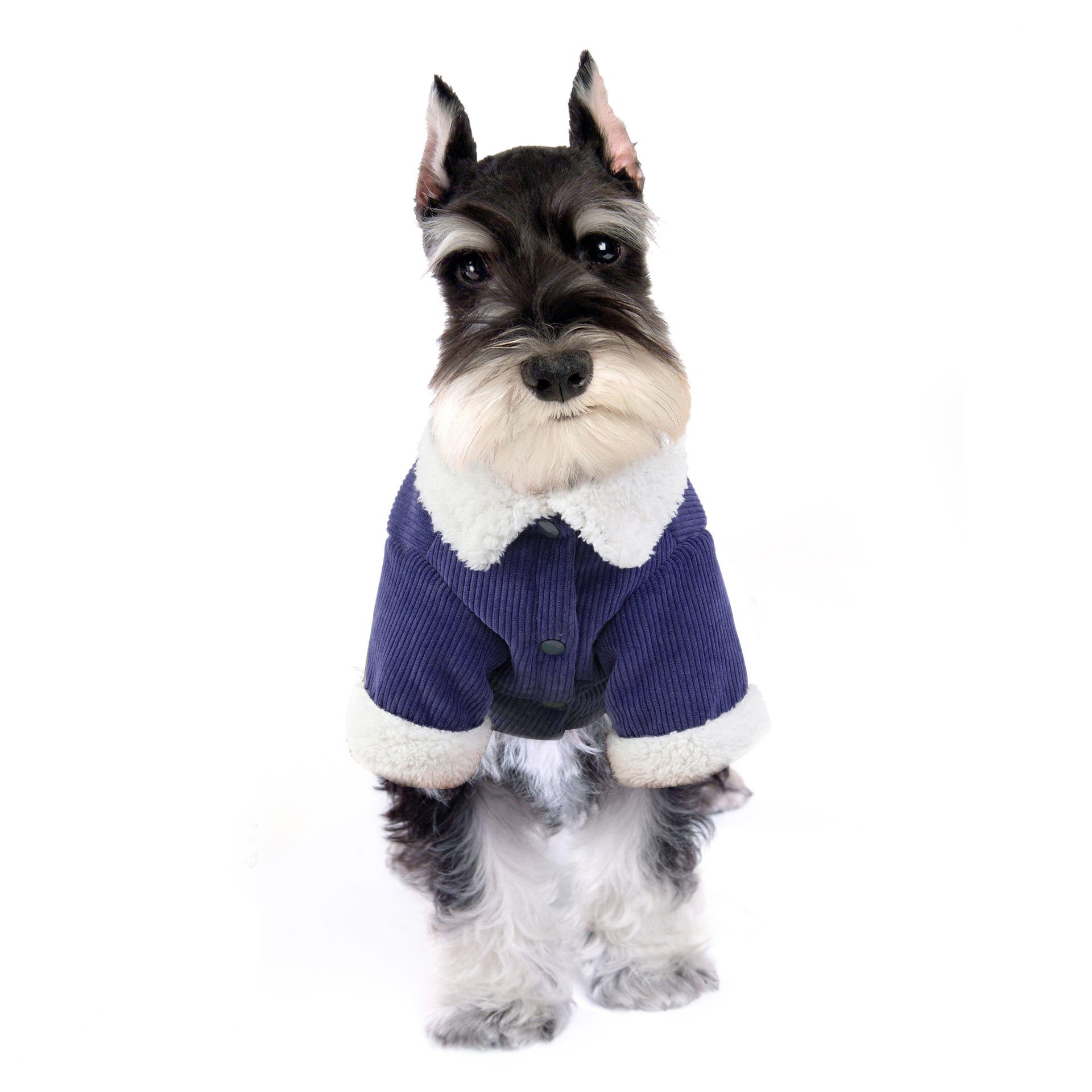 Old Money Dog Coat