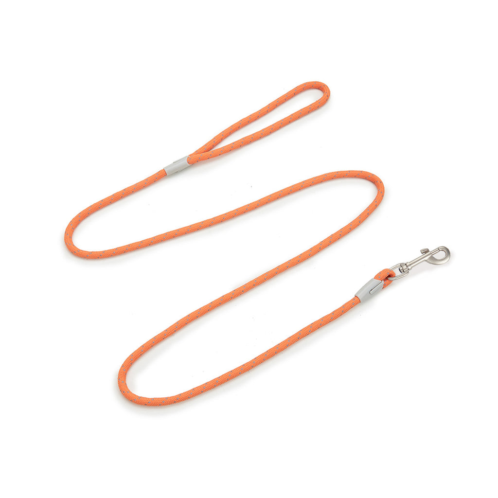 Strut & Shine Harness