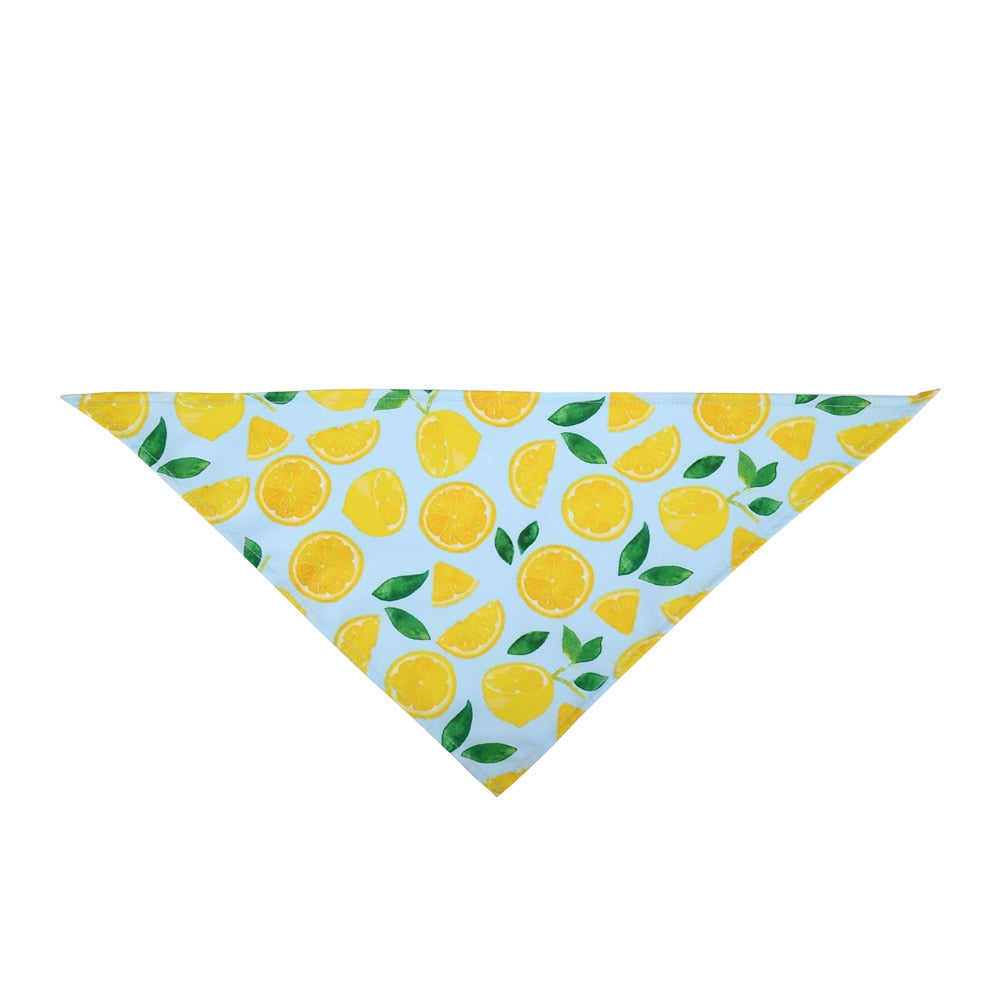 Tie & Shine Pet Bandana