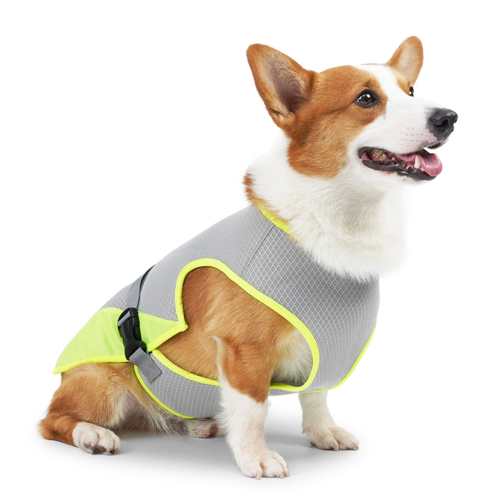 From Hot Dog To Cool Dog.