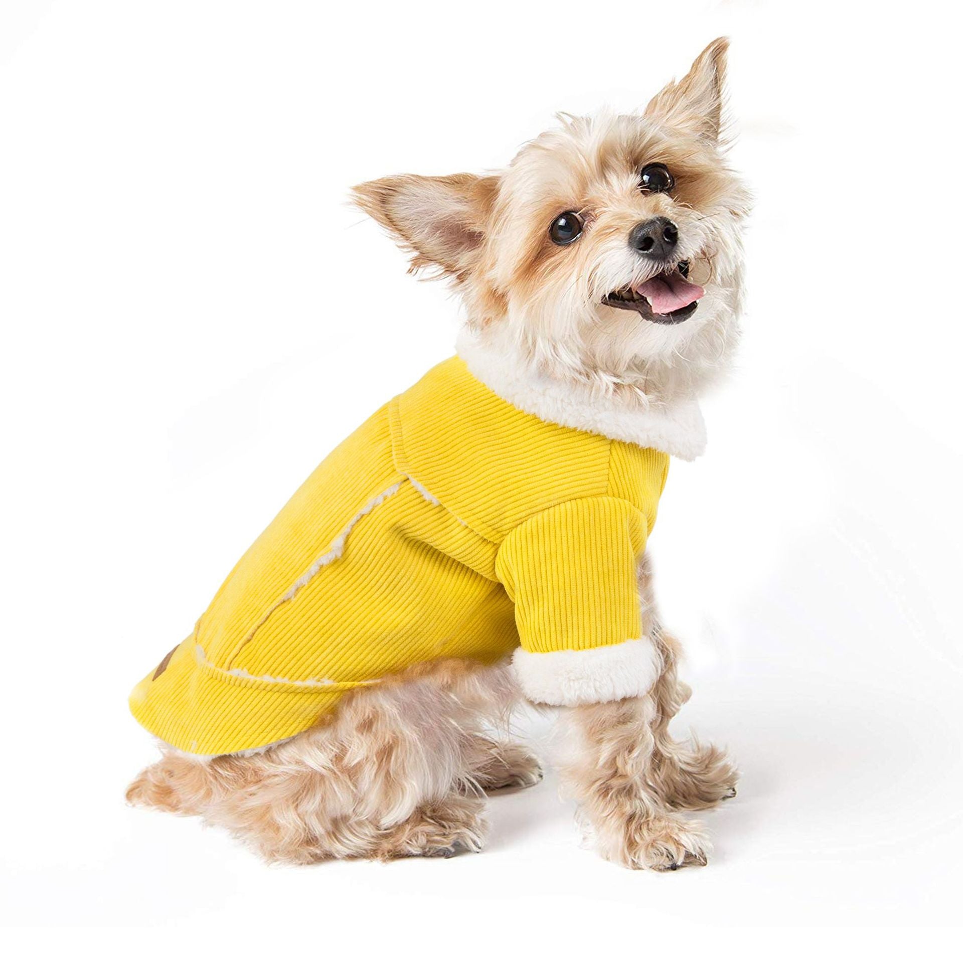 Old Money Dog Coat