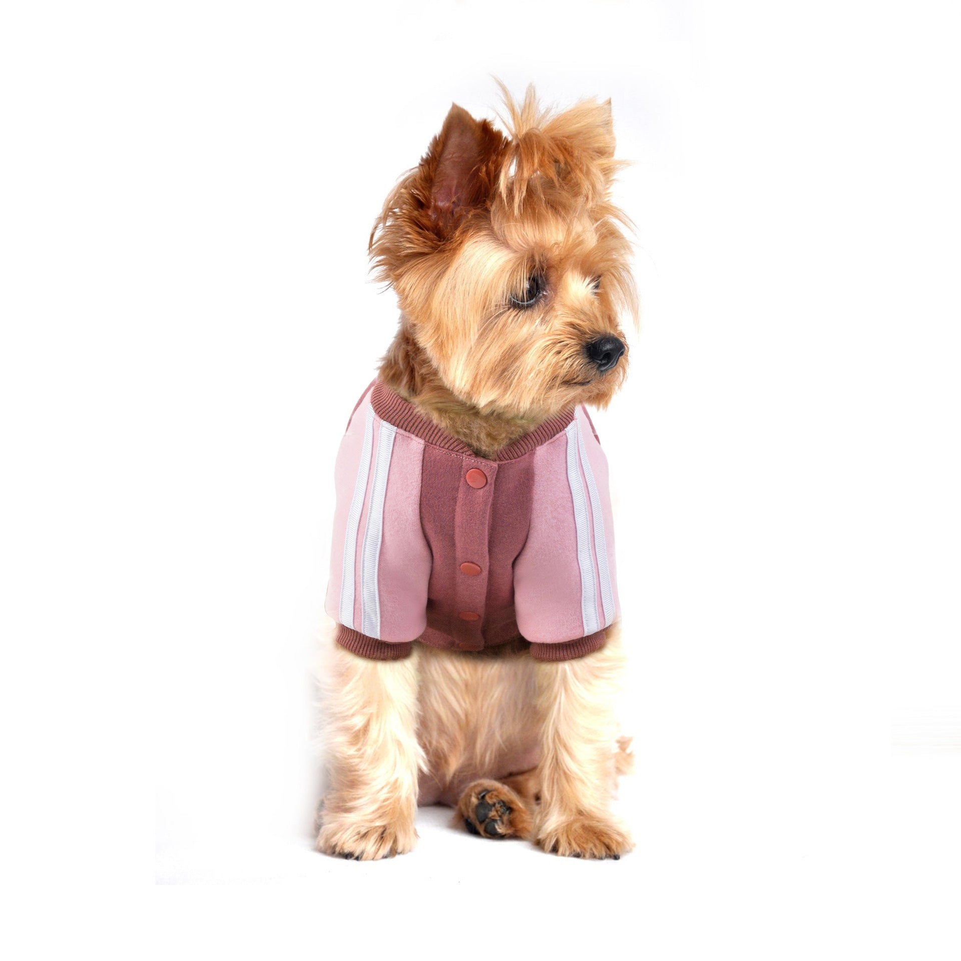 The Lounger Pet Hoodie