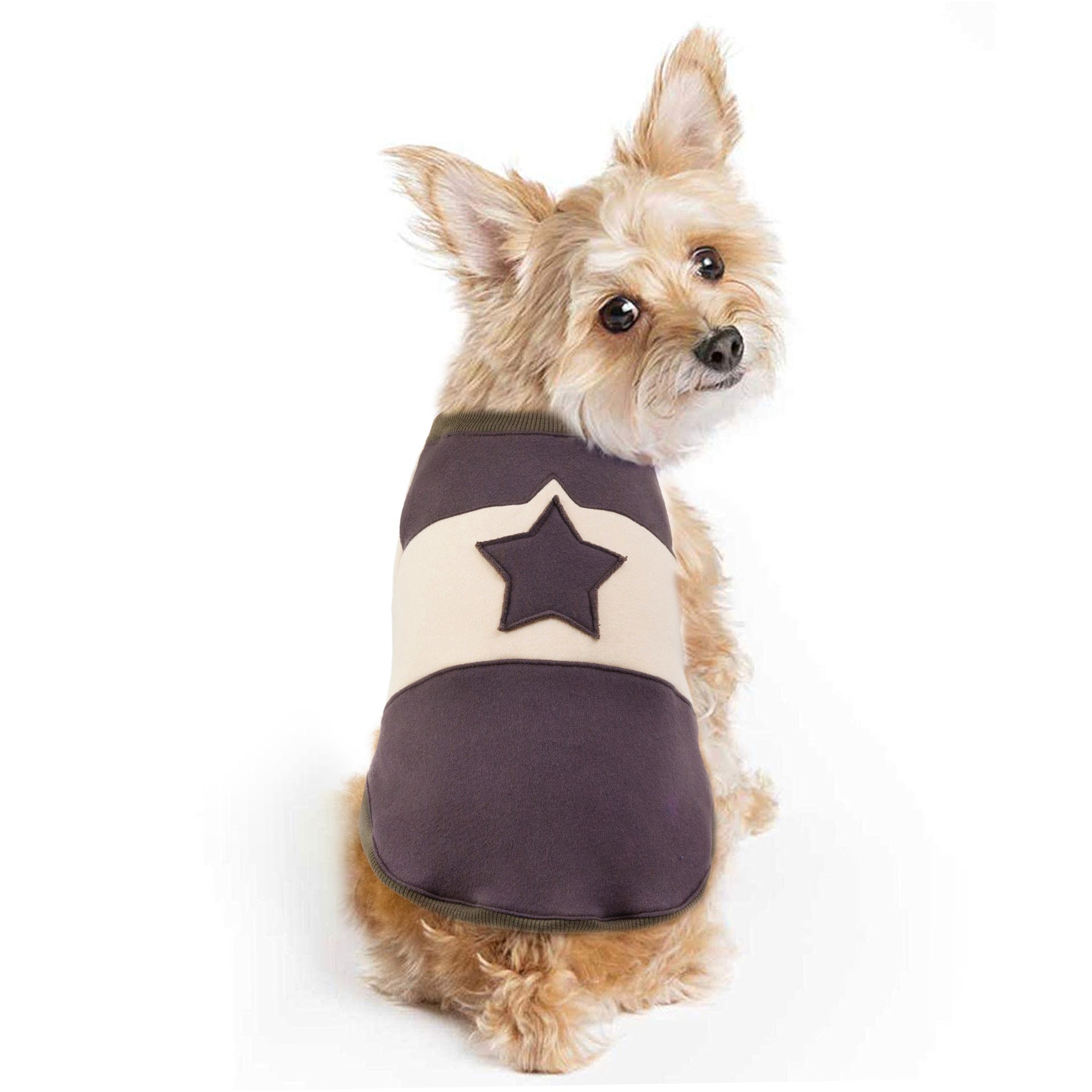 The Lounger Pet Hoodie