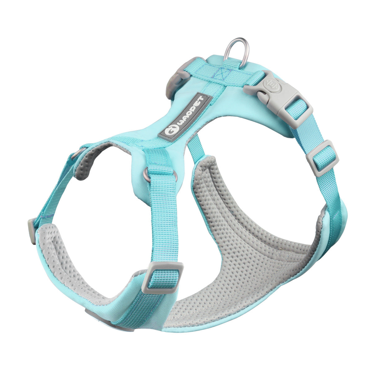 Strut & Shine Harness
