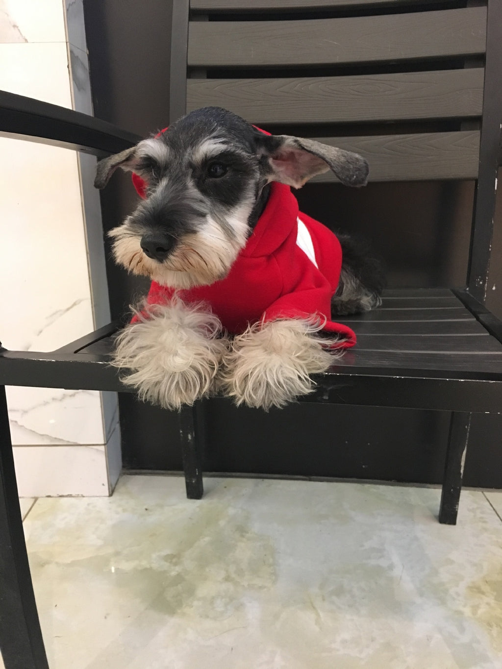 Swagged Out Pet Hoodie