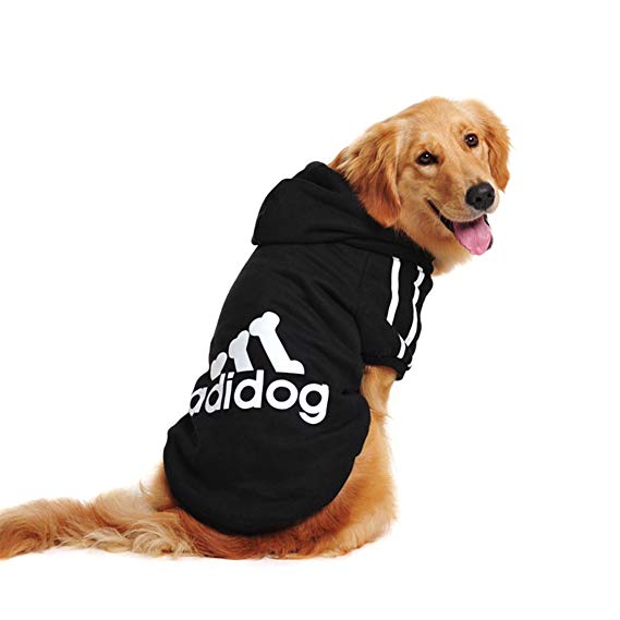 All Paws on Stripes