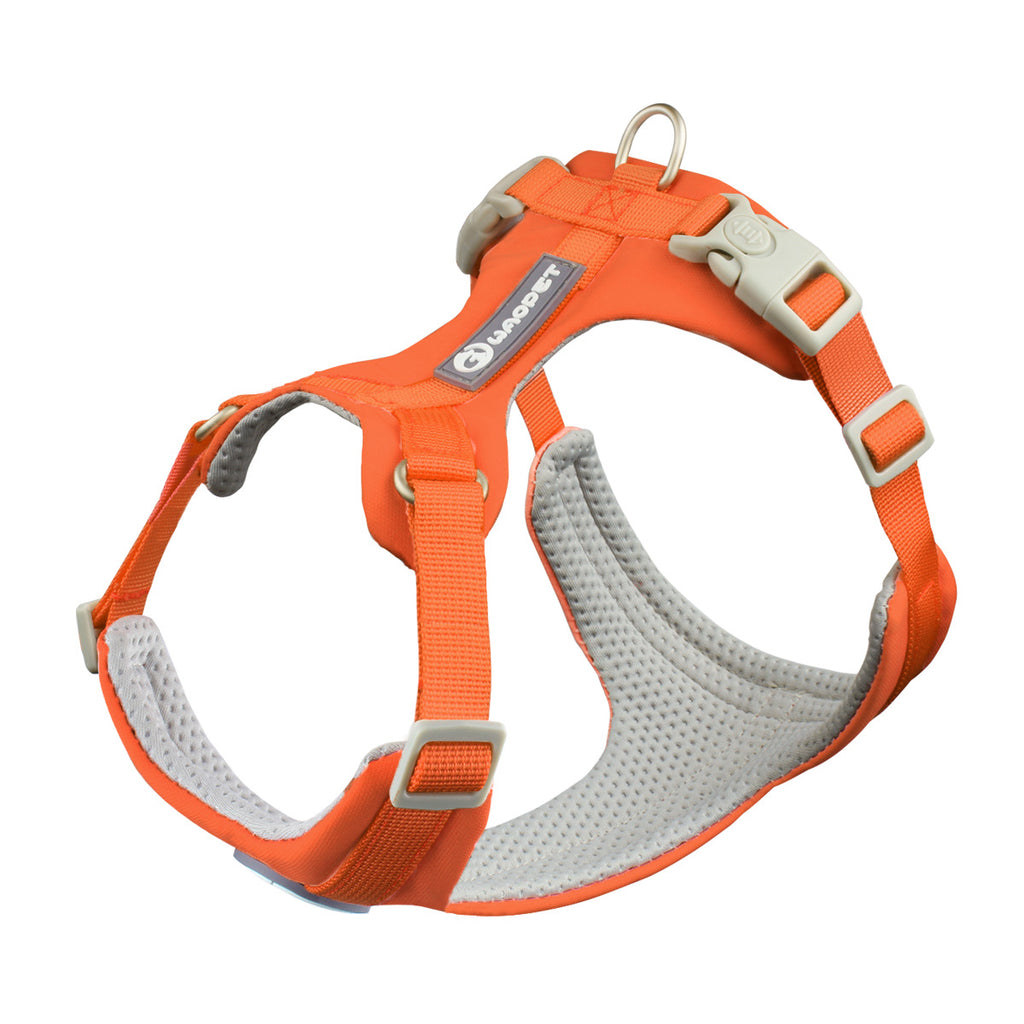 Strut & Shine Harness