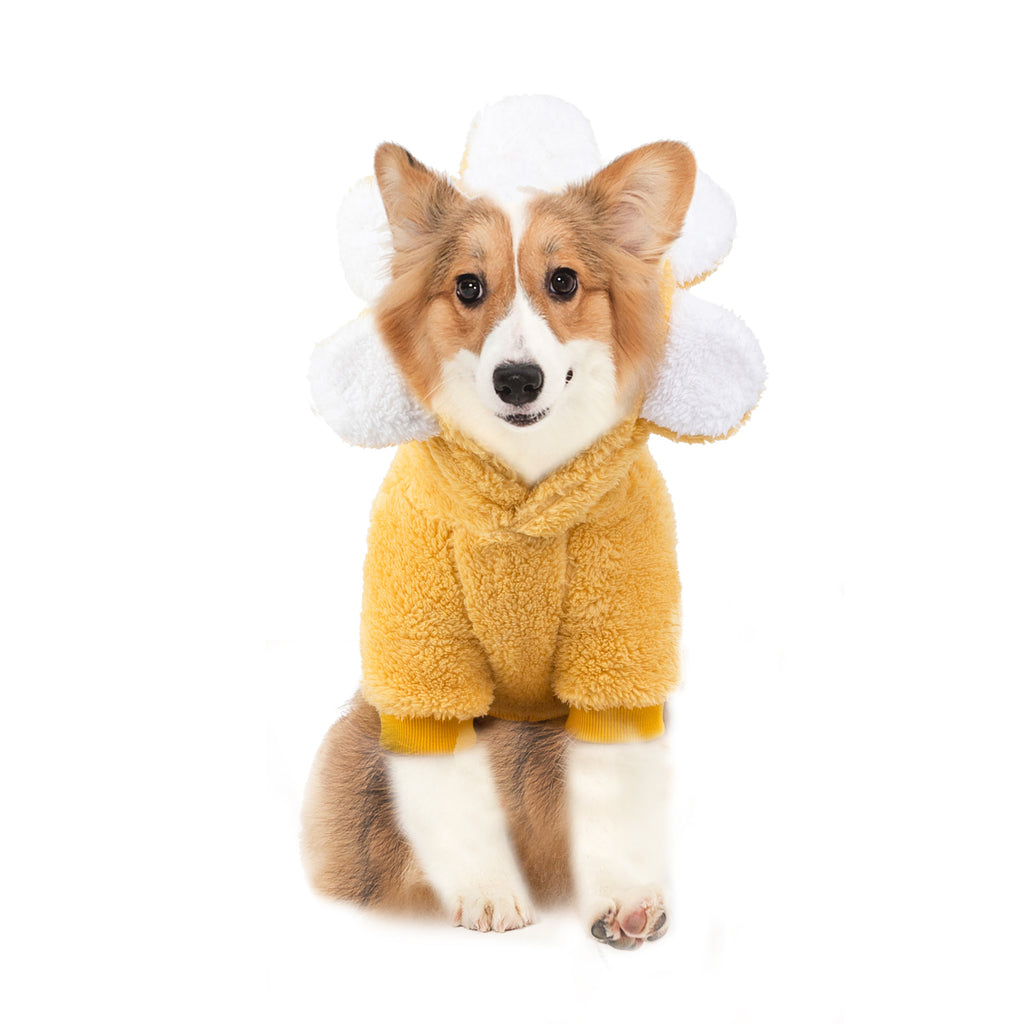 Wag in Bloom Sweater