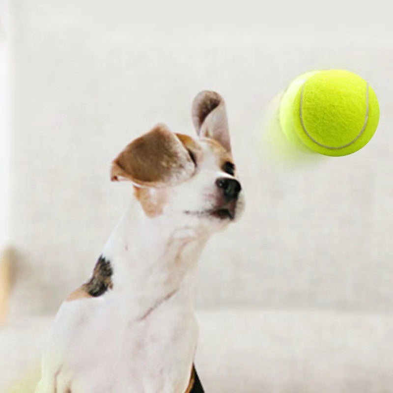 Boing!