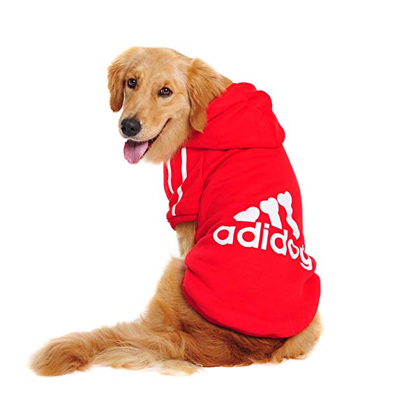 All Paws on Stripes
