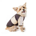 The Lounger Pet Hoodie