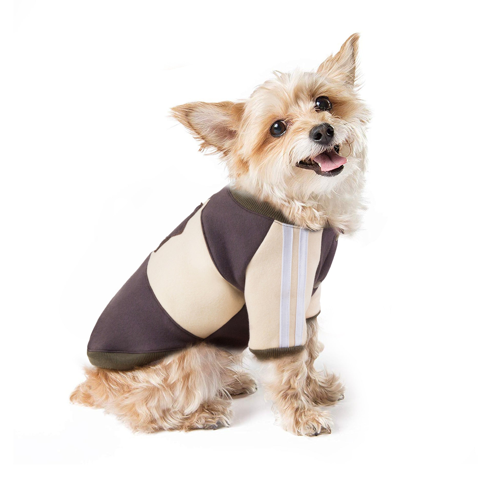 The Lounger Pet Hoodie