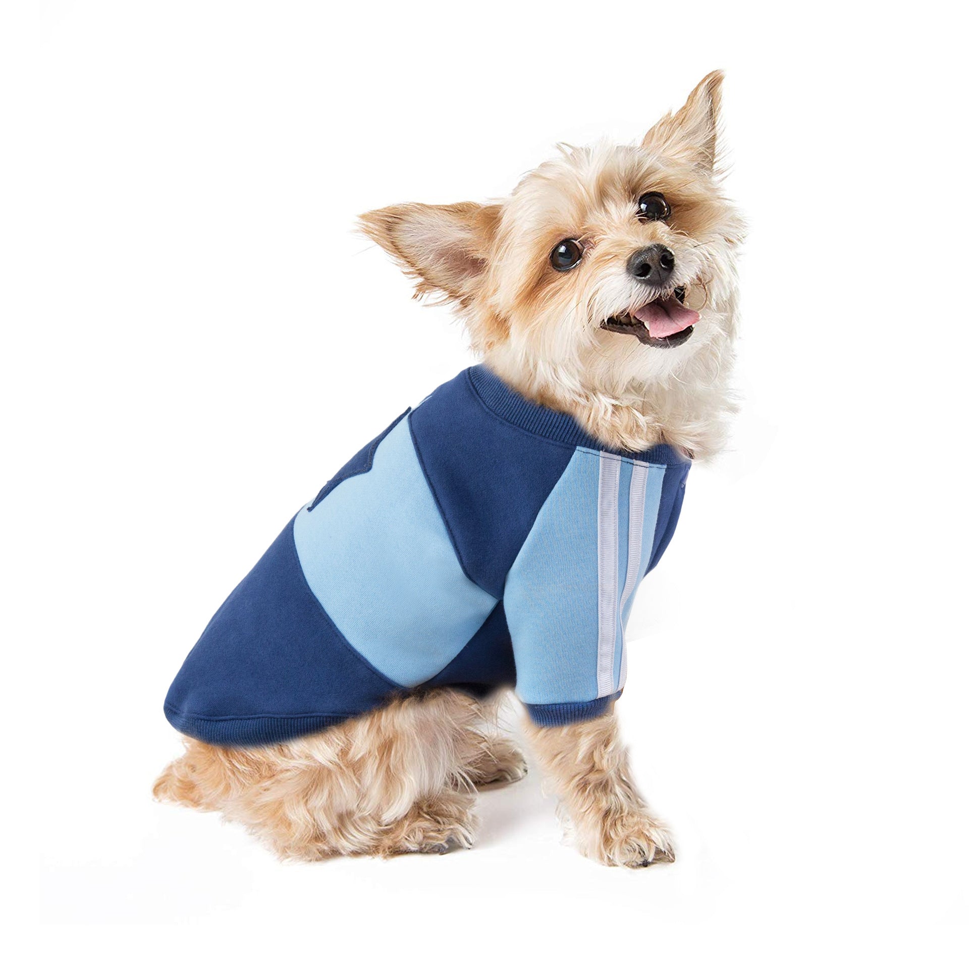 The Lounger Pet Hoodie