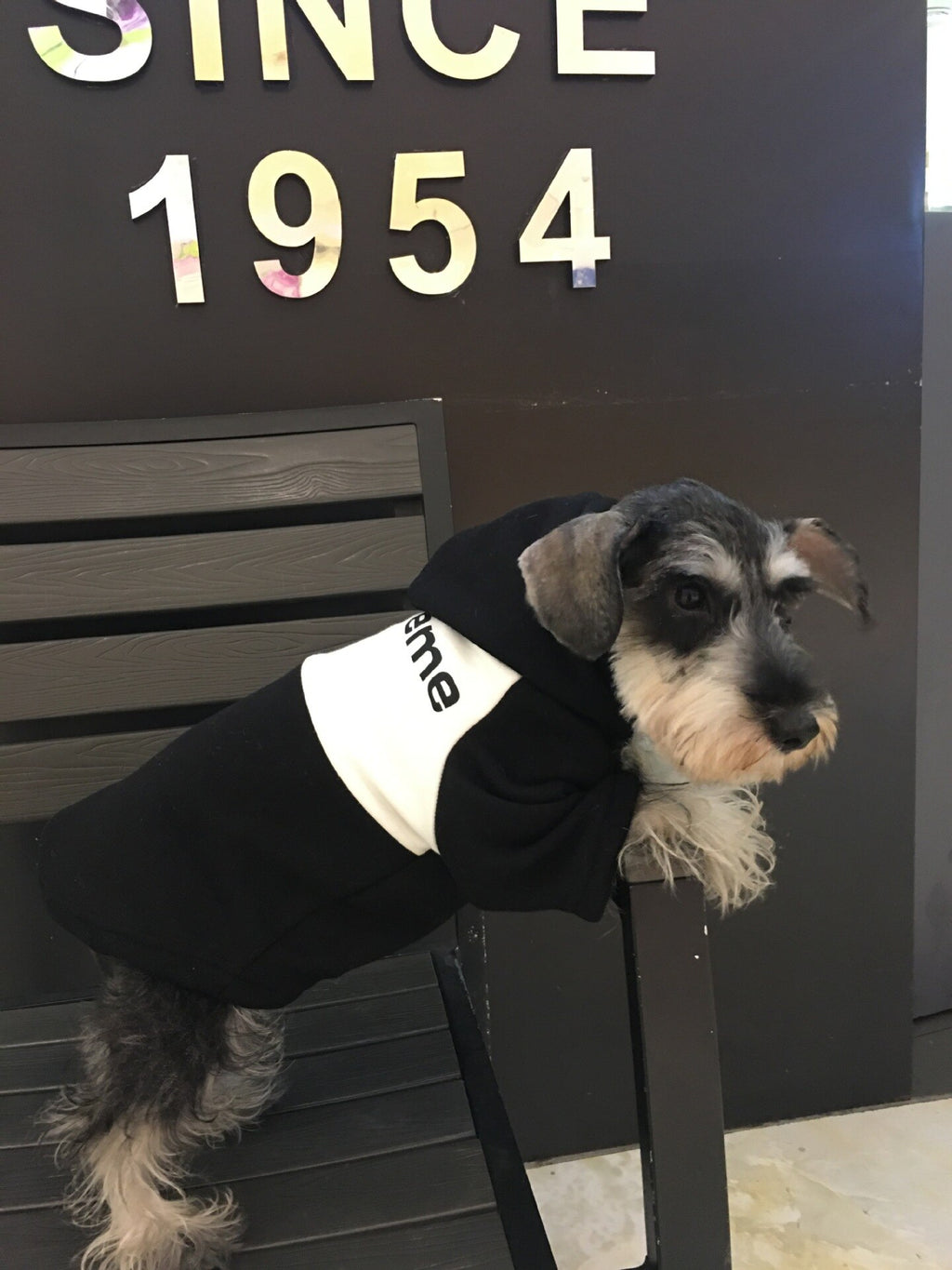 Swagged Out Pet Hoodie
