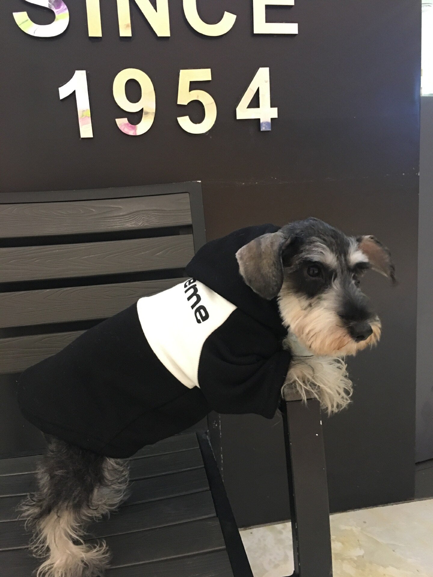 Swagged Out Pet Hoodie