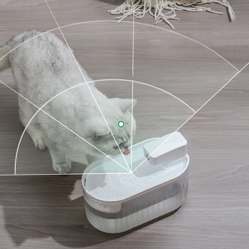 The Pet Spring