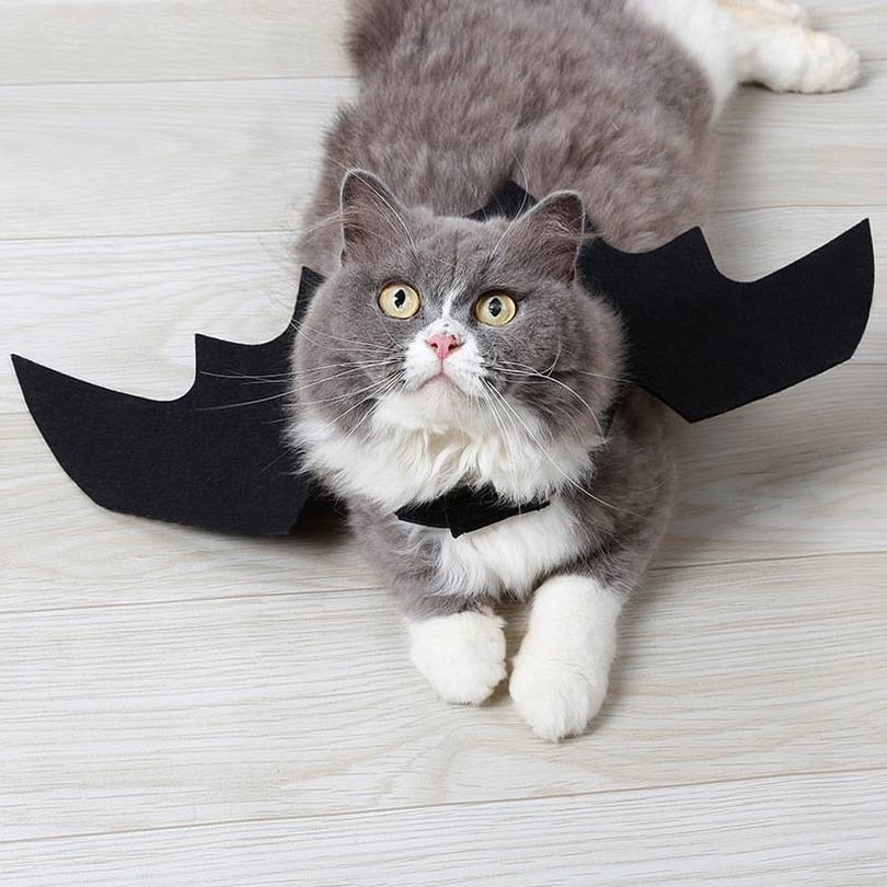 Bat Cat Rises.