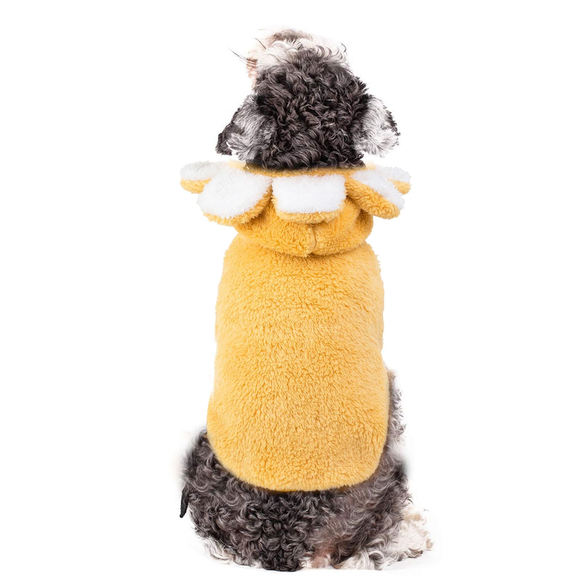 Wag in Bloom Sweater