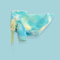 Colour Pop Pet Hoodie