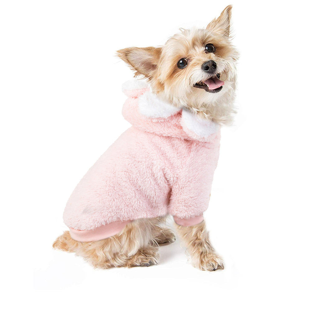 Wag in Bloom Sweater
